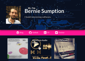 Berniesumption.com thumbnail