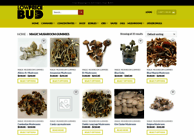 Bestmushroomsuppliers.com thumbnail