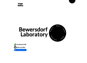 Bewersdorflab.org thumbnail