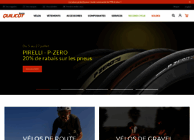Bicyclesquilicot.com thumbnail