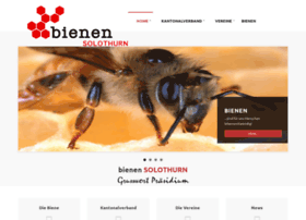 Bienen-so.ch thumbnail