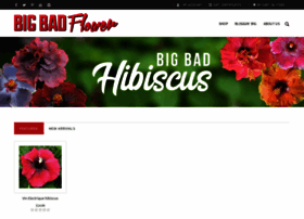Bigbadflower.com thumbnail
