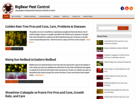 Bigbearpestcontrol.com thumbnail