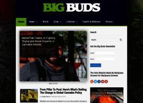 Bigbudsmag.com thumbnail
