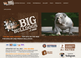 Bigbulldogs.com thumbnail