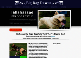 Bigdogrescue.com thumbnail