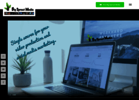 Bigsproutmedia.com thumbnail
