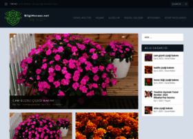 Bilgihocasi.net thumbnail
