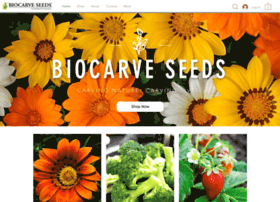 Biocarve.com thumbnail