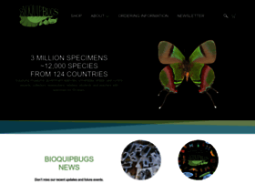 Bioquipbugs.com thumbnail