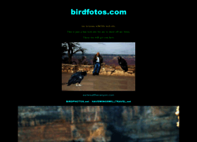 Birdfotos.com thumbnail