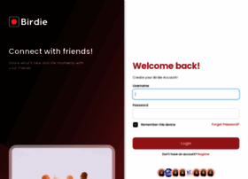 Birdiey.com thumbnail
