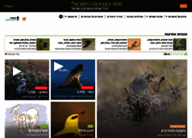 Birds.org.il thumbnail Birds.org.il thumbnail
