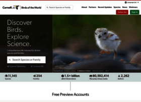 Birdsna.org thumbnail