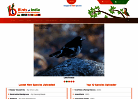 Birdsofindia.co.in thumbnail