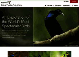 Birdsofparadiseproject.org thumbnail