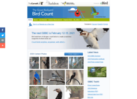 Birdsource.org thumbnail