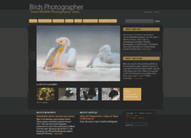Birdsphotographer.com thumbnail