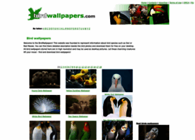 Birdwallpapers.com thumbnail