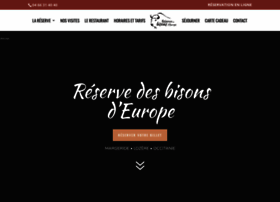 Bisoneurope.com thumbnail