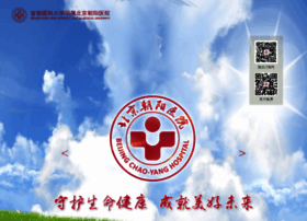 Bjcyh.com.cn thumbnail