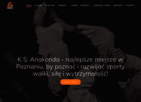 Bjj-poznan.pl thumbnail