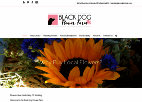 Blackdogflowerfarm.com thumbnail