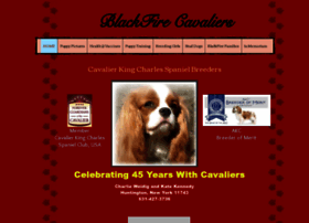 Blackfirecavaliers.com thumbnail