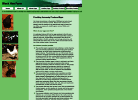 Blackhenfarm.com thumbnail Blackhenfarm.com thumbnail