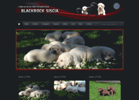 Blackrocks.org thumbnail
