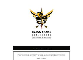 Blacksnakeconsulting.com thumbnail