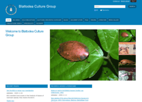 Blattodea-culture-group.org thumbnail