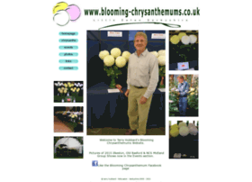 Blooming-chrysanthemums.co.uk thumbnail