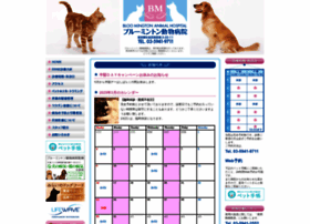 Bloomington Vet Com At Wi 代替療法 漢方 自然療法 ブルーミントン動物病院 東京都杉並区