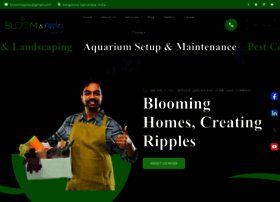 Bloomripples.com thumbnail