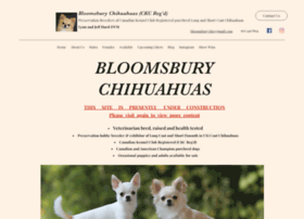 Bloomsburychihuahuas.com thumbnail
