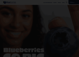 Blueberrycouncil.org thumbnail