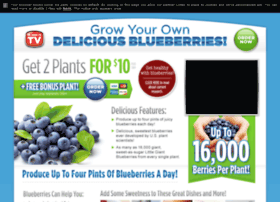 Blueberrygiant.com thumbnail