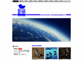 Bluebirdxtsunagari.com thumbnail
