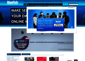 Bluefish-emarketing.com thumbnail