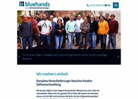 Bluehands.de thumbnail