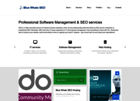 Bluewhaleseo.com thumbnail