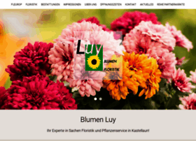 Blumen-luy.de thumbnail