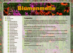 Blumenmeile.ch thumbnail