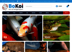Bokoi.nl thumbnail