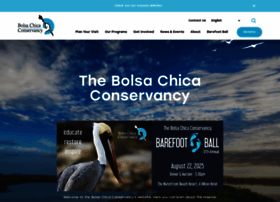 Bolsachica.org thumbnail