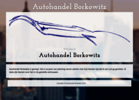 Borkowitz.nl thumbnail