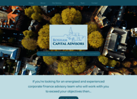 Boshamcapitaladvisors.com thumbnail