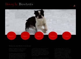 Boston-terrier-kennel.com thumbnail