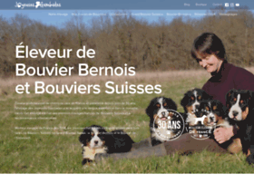 Bouvier-suisse.com thumbnail